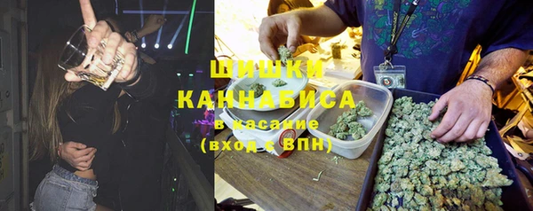 прущие грибы Алексин