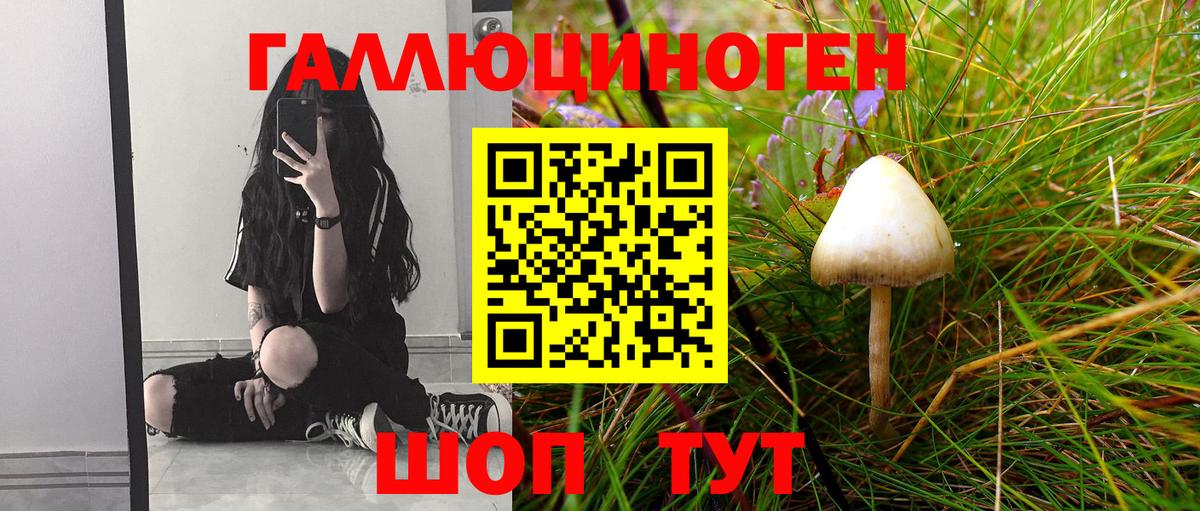 Углич  Псилоцибиновые грибы мицелий  Вход с VPN 