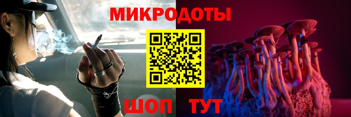 Галлюциногенные грибы Psilocybine cubensis Углич